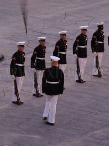 Soldier Drops His Riffle During a Parade Practice 