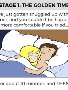 Hilarious Illustrations That Capture The Stages Of Sleeping With Your Partner