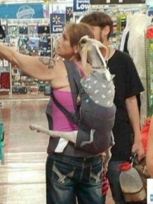 People Of Walmart