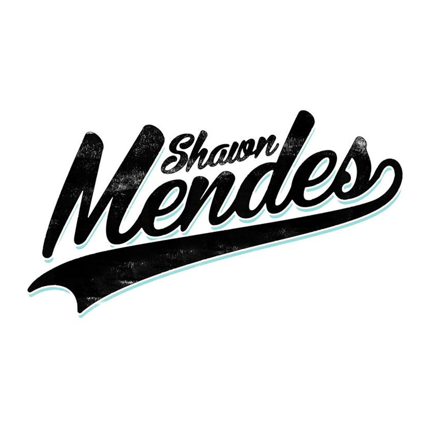 Shawn Mendes