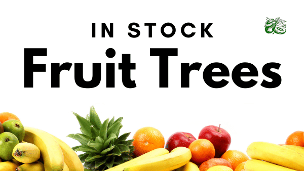 Fruit & Nut Trees