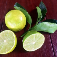 Lime - Tahitian