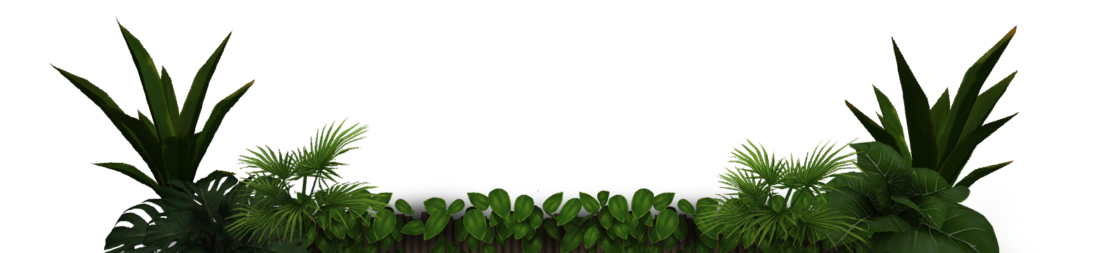 Jungle PNG transparent image download, size: 1600x365px