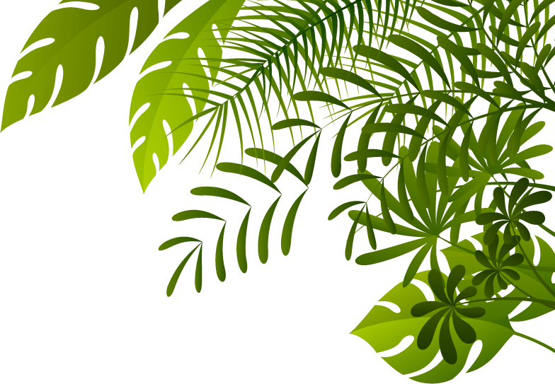 Jungle PNG transparent image download, size: 784x543px