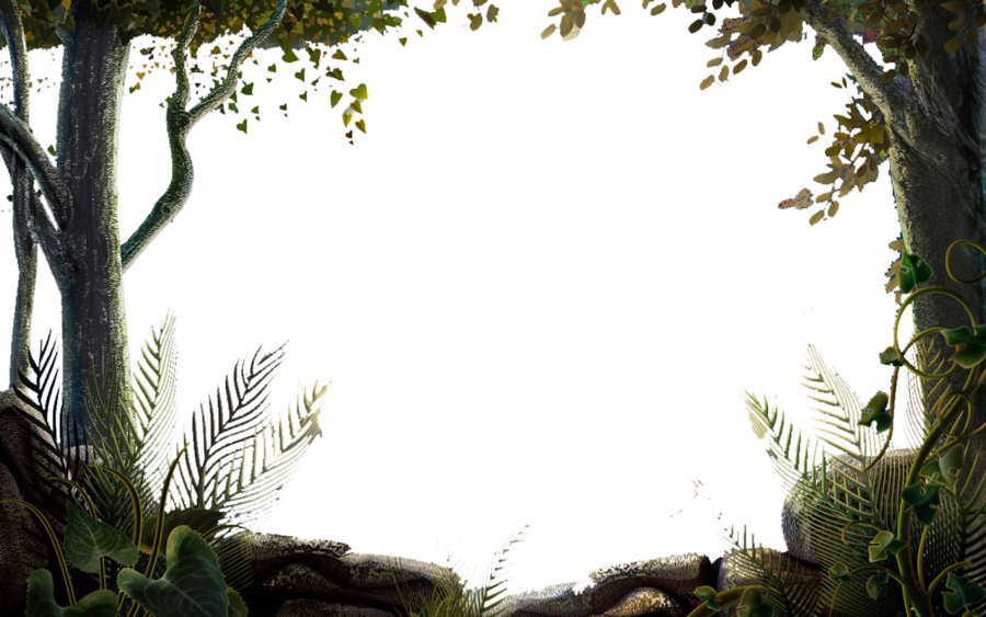 Jungle PNG transparent image download, size: 900x563px