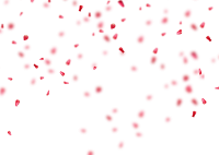 Confetti PNG