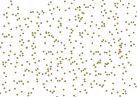 Confetti PNG