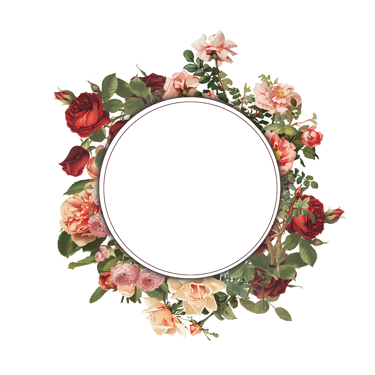 Floral frame PNG