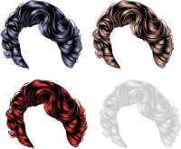 Hair wig PNG