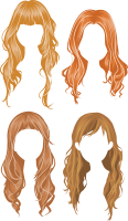 Hair wig PNG