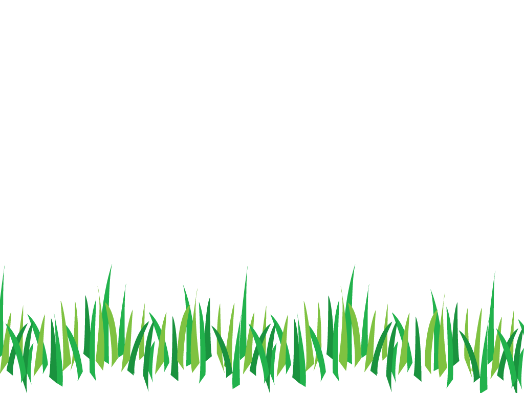 grass png  vector, psd, clipart with transparent