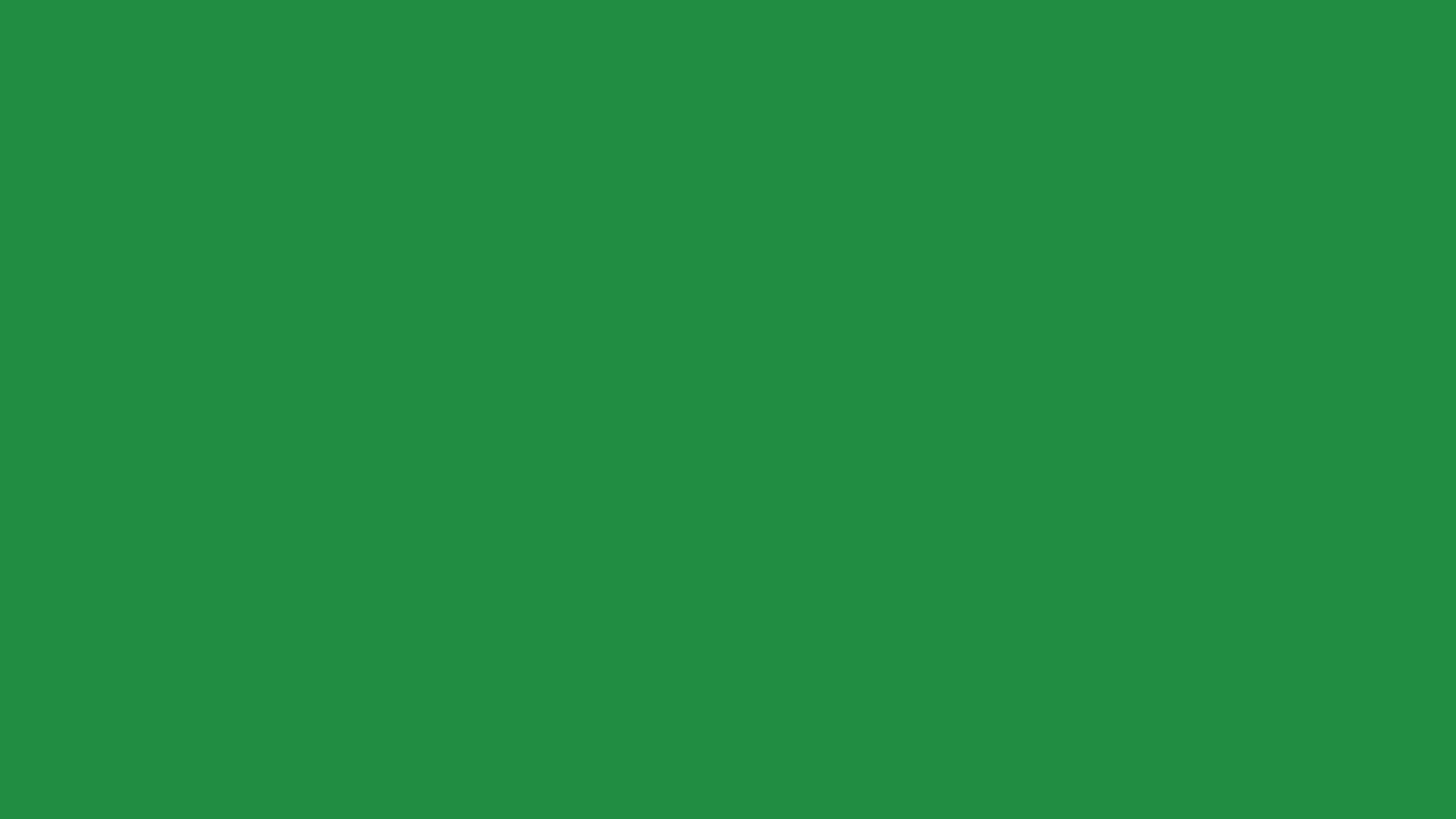 forest green solid color background