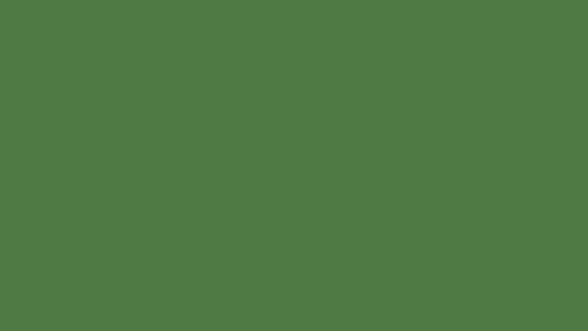 fern green solid color background