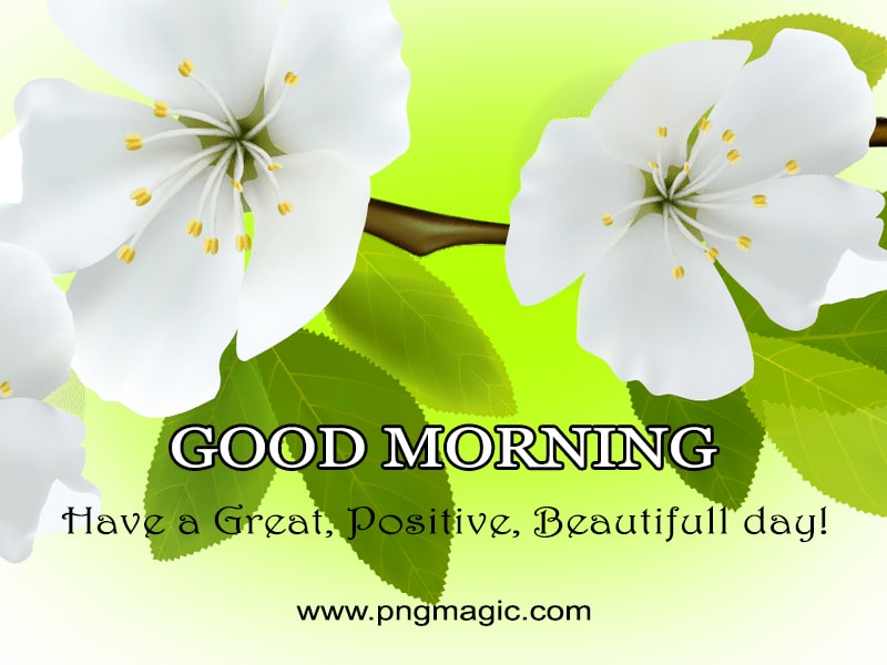 good morning wishes message image with flowers