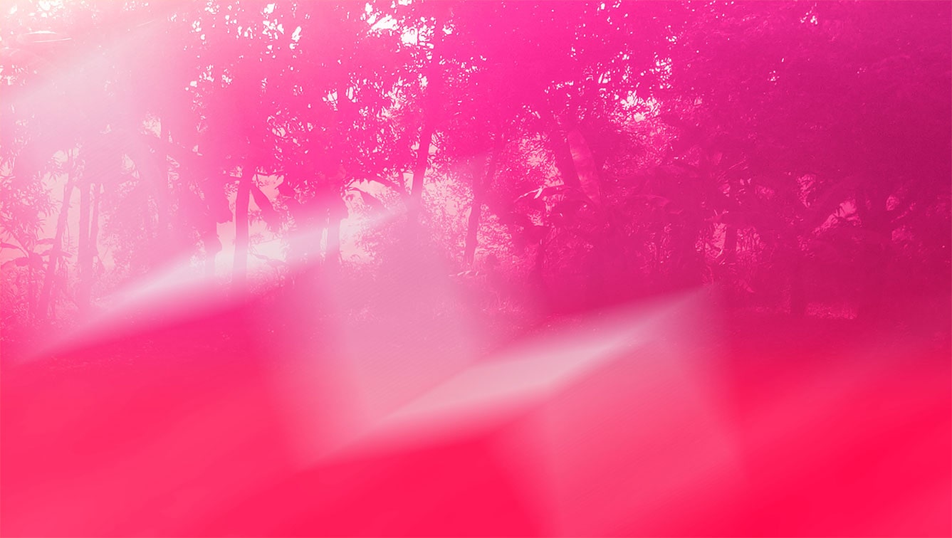 wallpaper pink