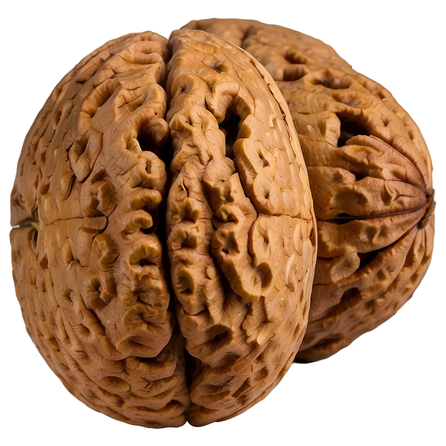 Walnut Png