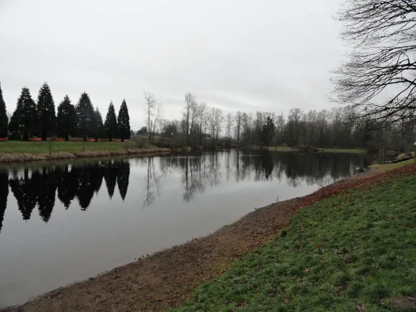 Fort Borst Park Lake