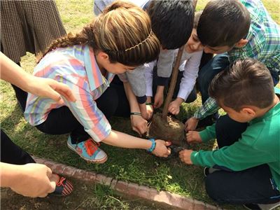 Tree Planting at School (Soran I.S)