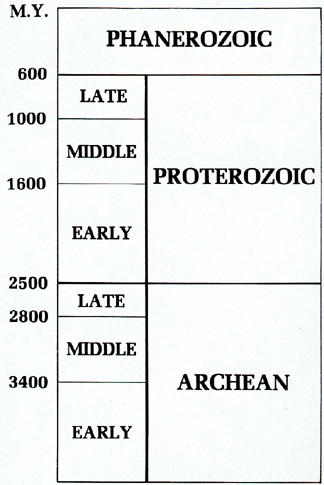 Precambrian Bacteria Fossils