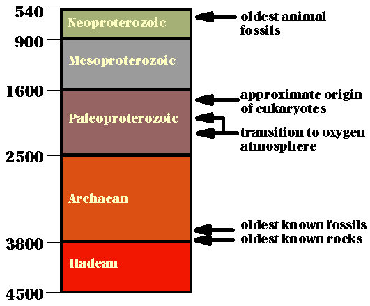 Cambrian Time Period Timeline