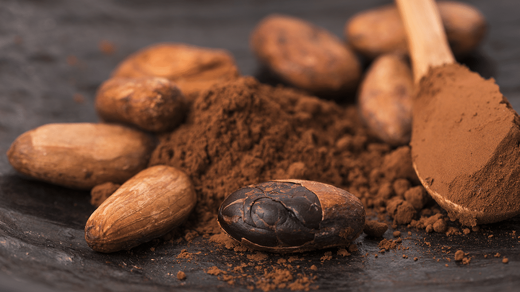 cacao