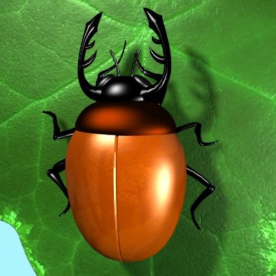 Beetle 3d model