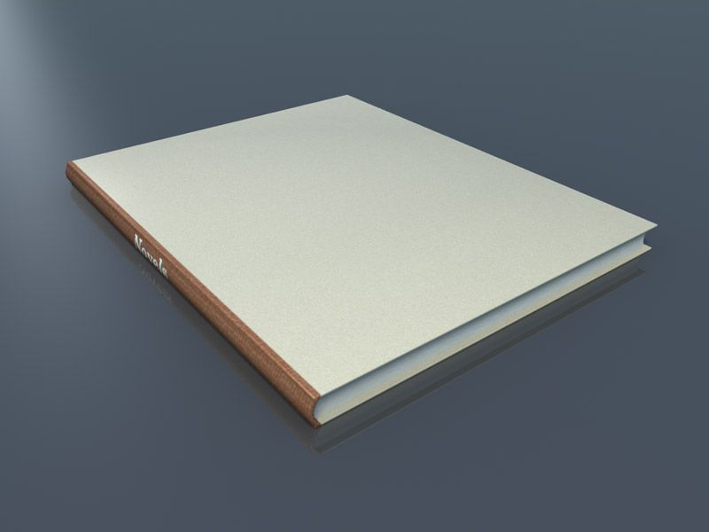 Buch 3d model