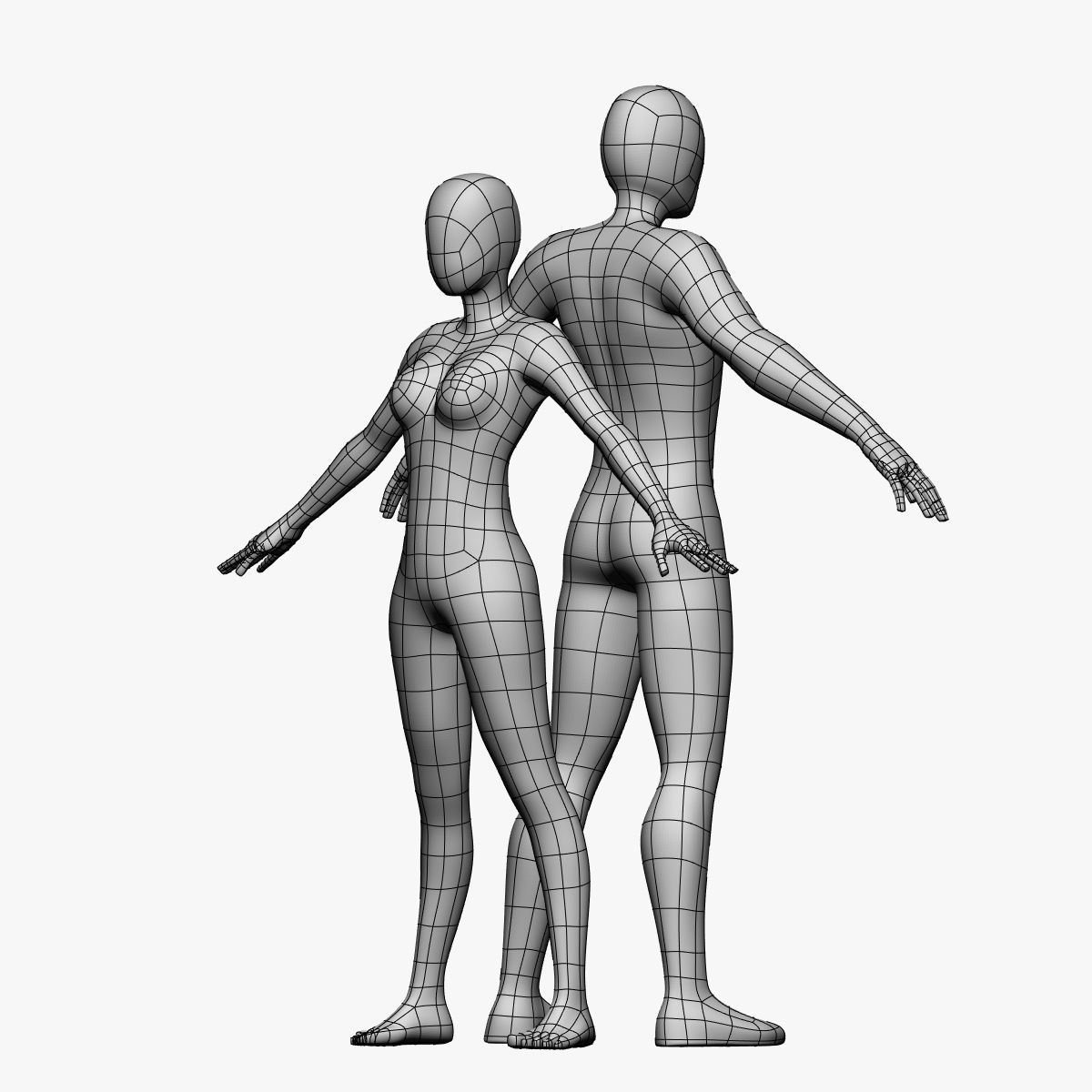 Låg Poly Base Mesh-Female / Male 3d model