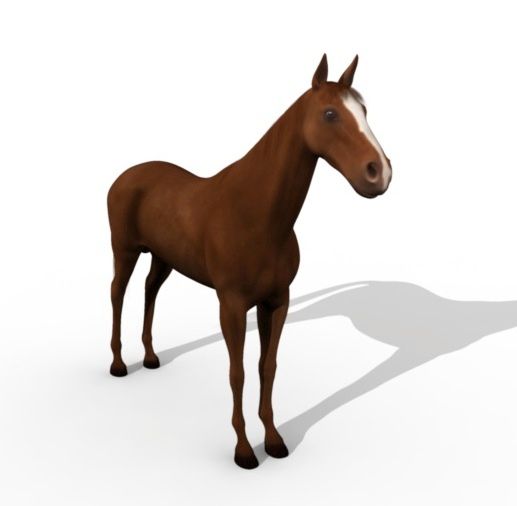 Horse 3d model