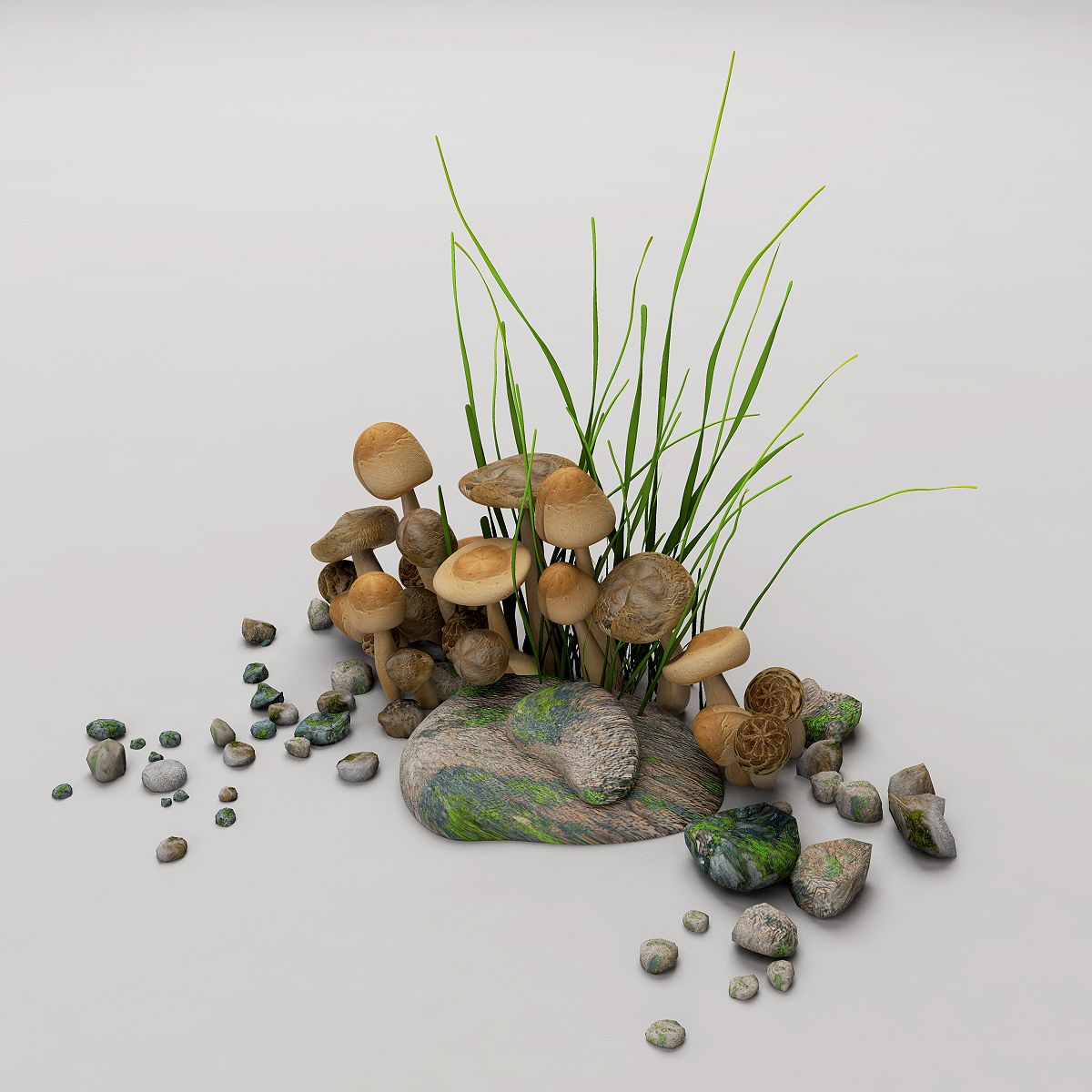 Mushrooms 3d model