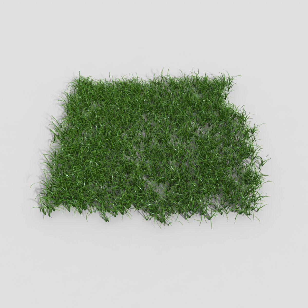 Plant Grass 3d model