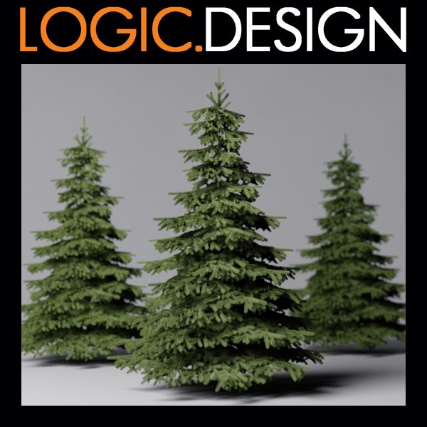 Fir Tree 3d model