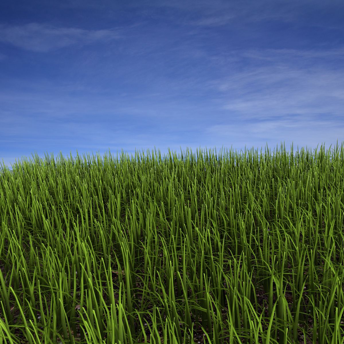 Grass royalty-free 3d model - Preview no. 2