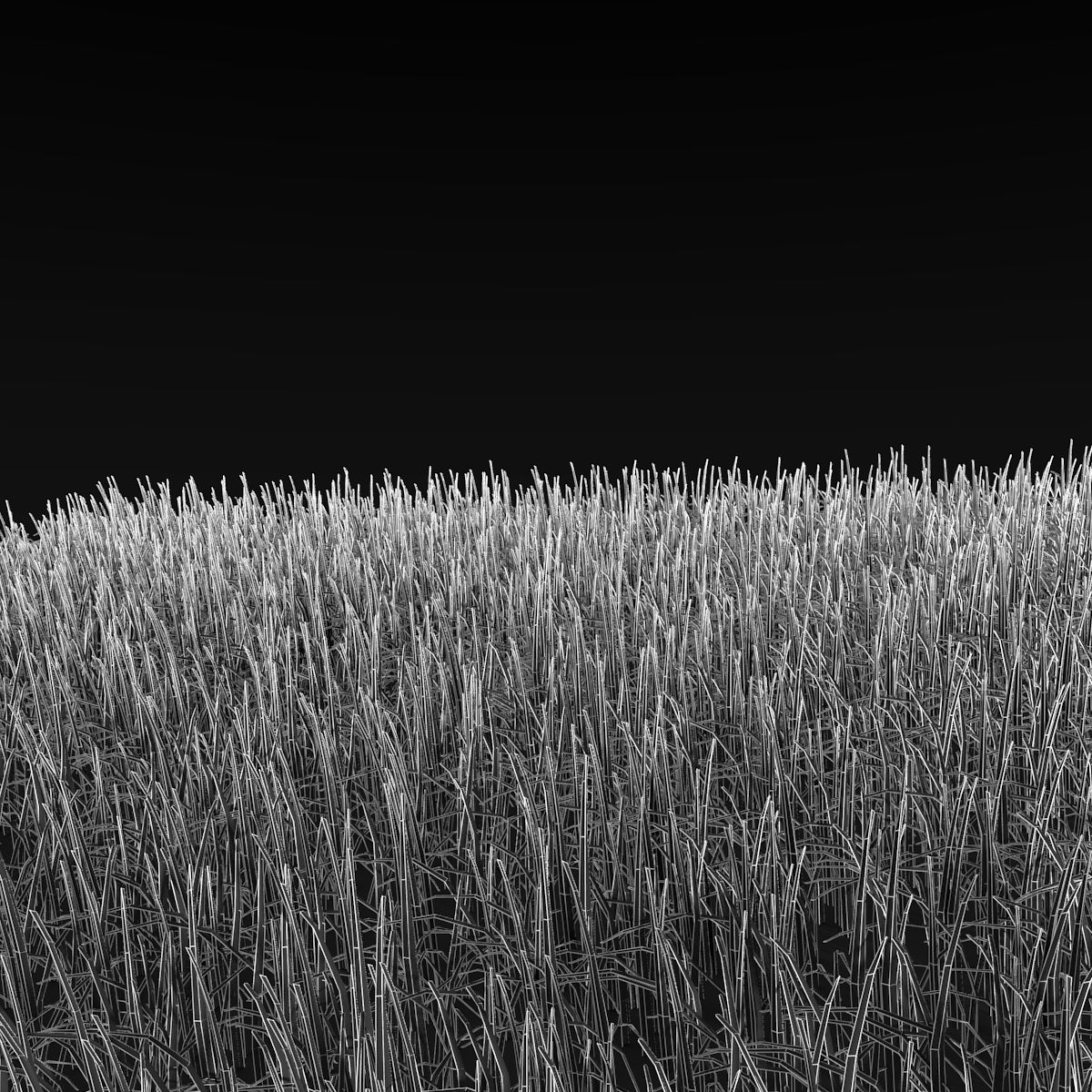 Grass royalty-free 3d model - Preview no. 7