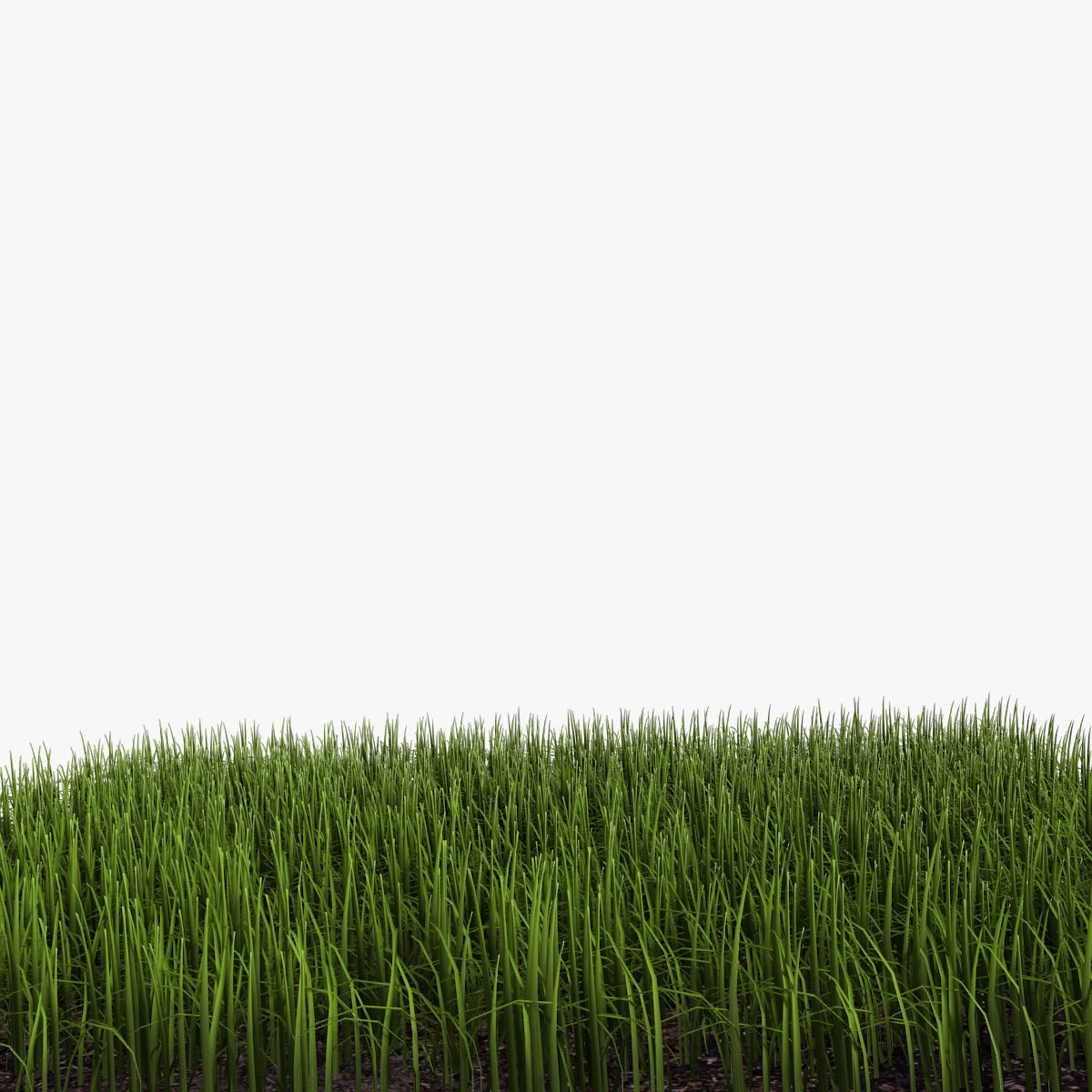 Grass royalty-free 3d model - Preview no. 5