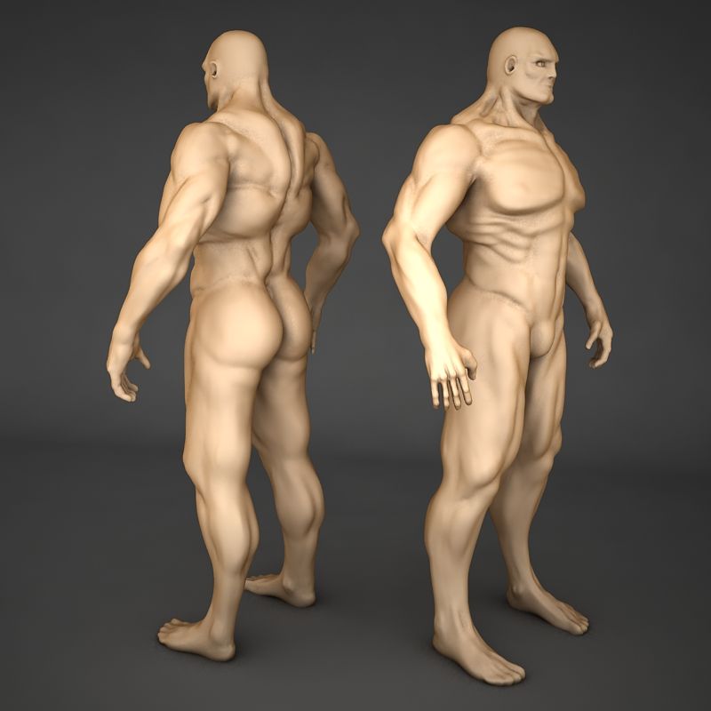 corpo umano 3d model