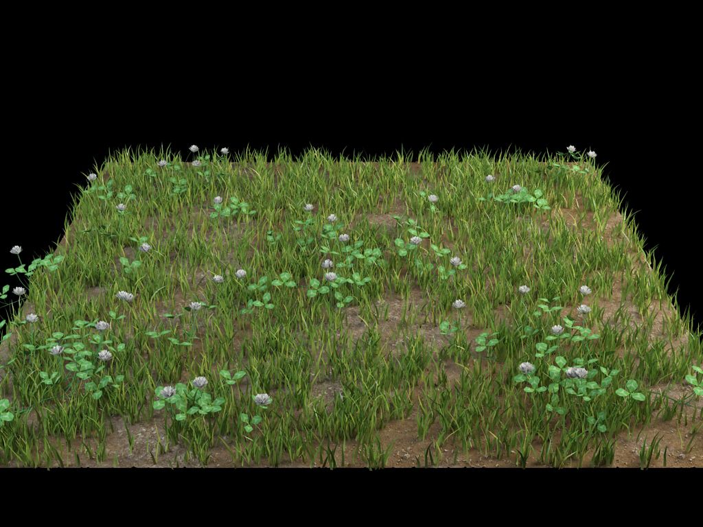 grass flowers ground 3d model