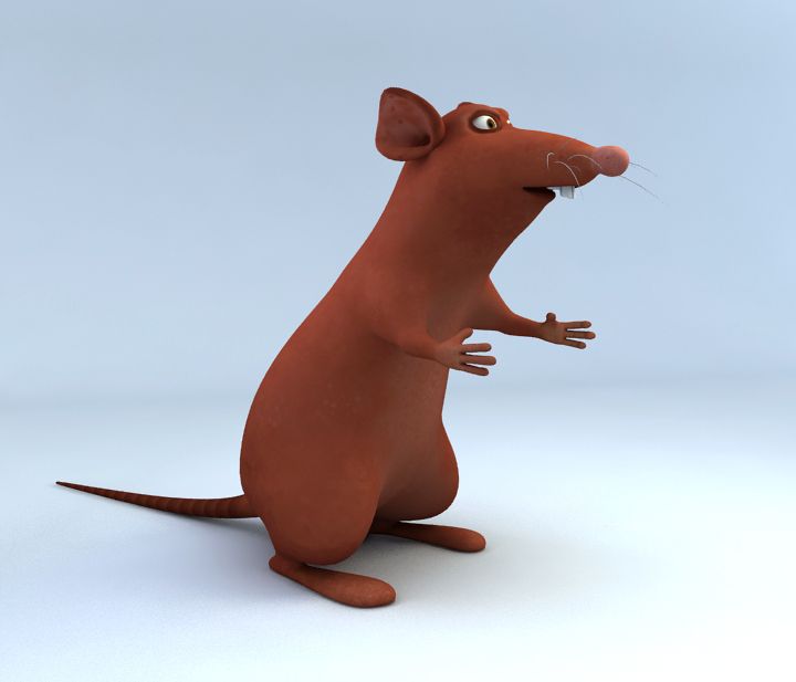 RAT 3d model