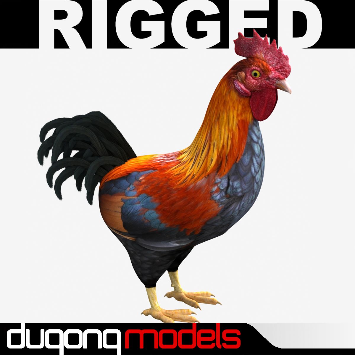 Rooster 3d model