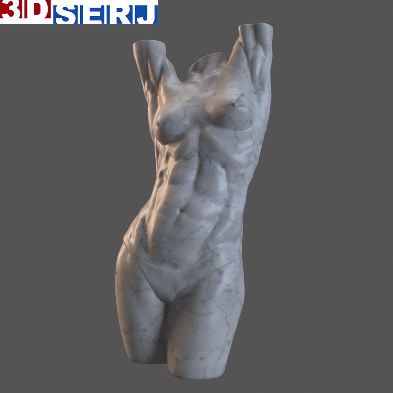 신체 여성 3d model