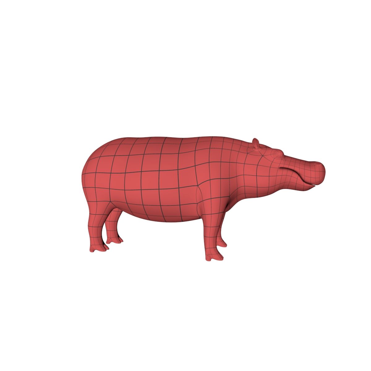 Hippo base mesh 3d model