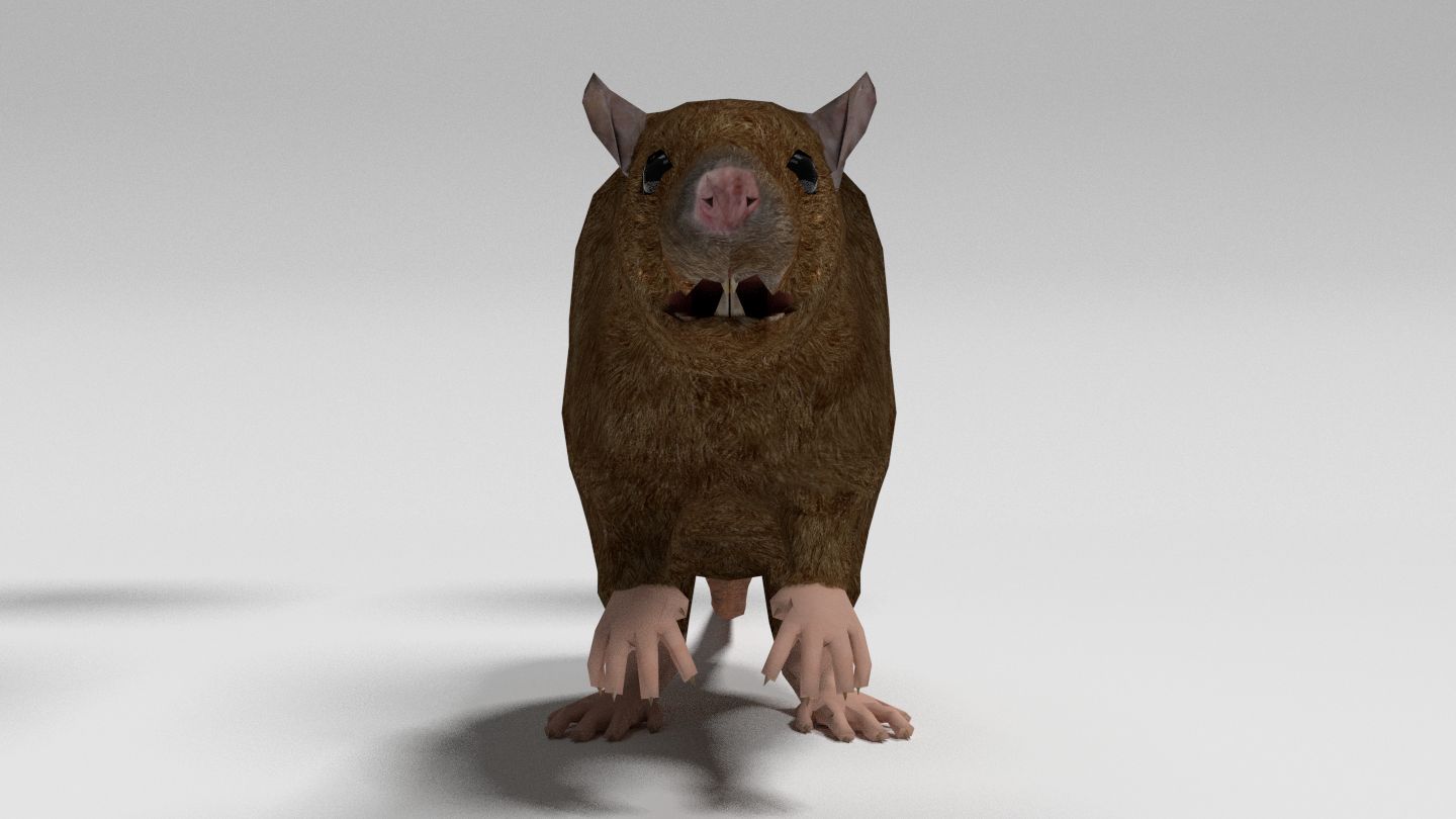 Low Poly Rat royalty-free 3d model - Preview no. 2