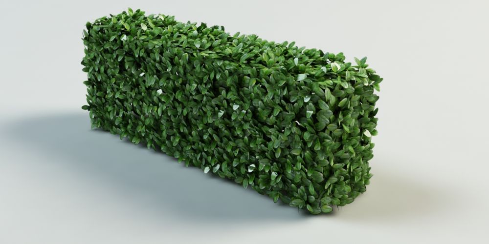 hedge topiary bush 3d model