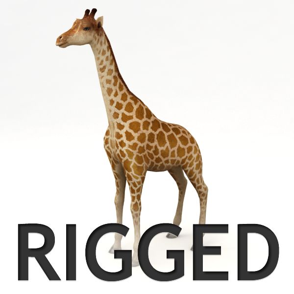 Rigged Giraffe 3d model