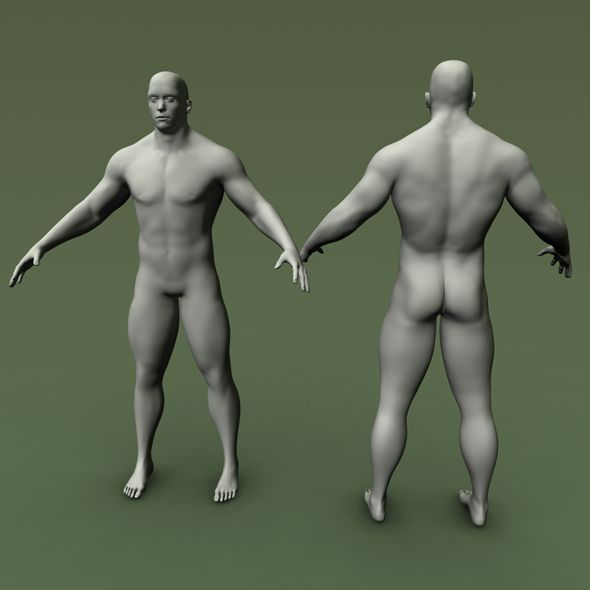 남성 인체 해부학 하이 폴리 3d model