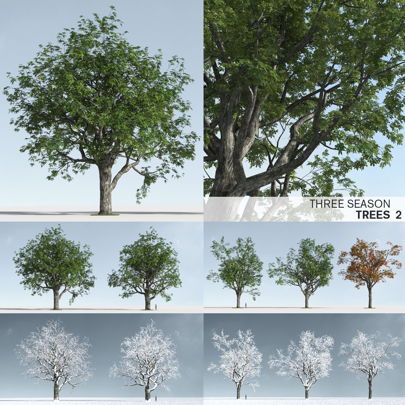 Three Season Trees 2 (+GrowFX) 3d model