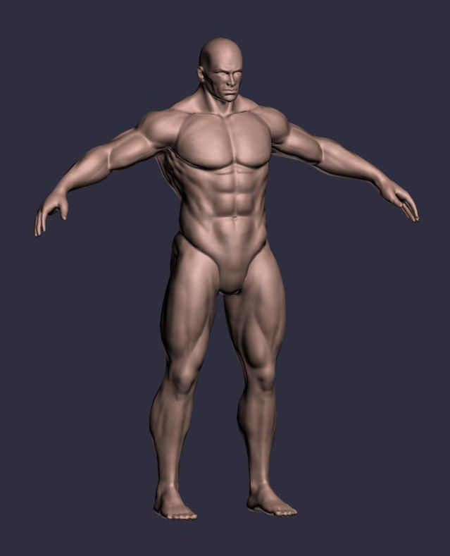 수컷의 A-Posed 캐릭터 3d model