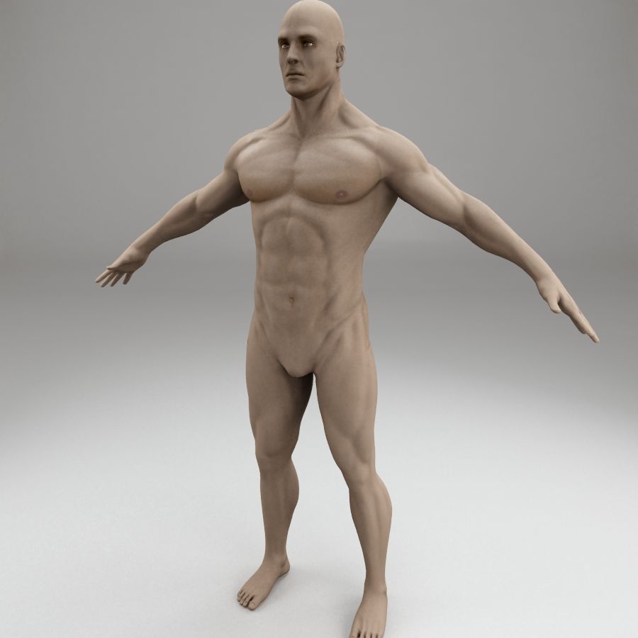 männlicher Körpercharakter 3d model