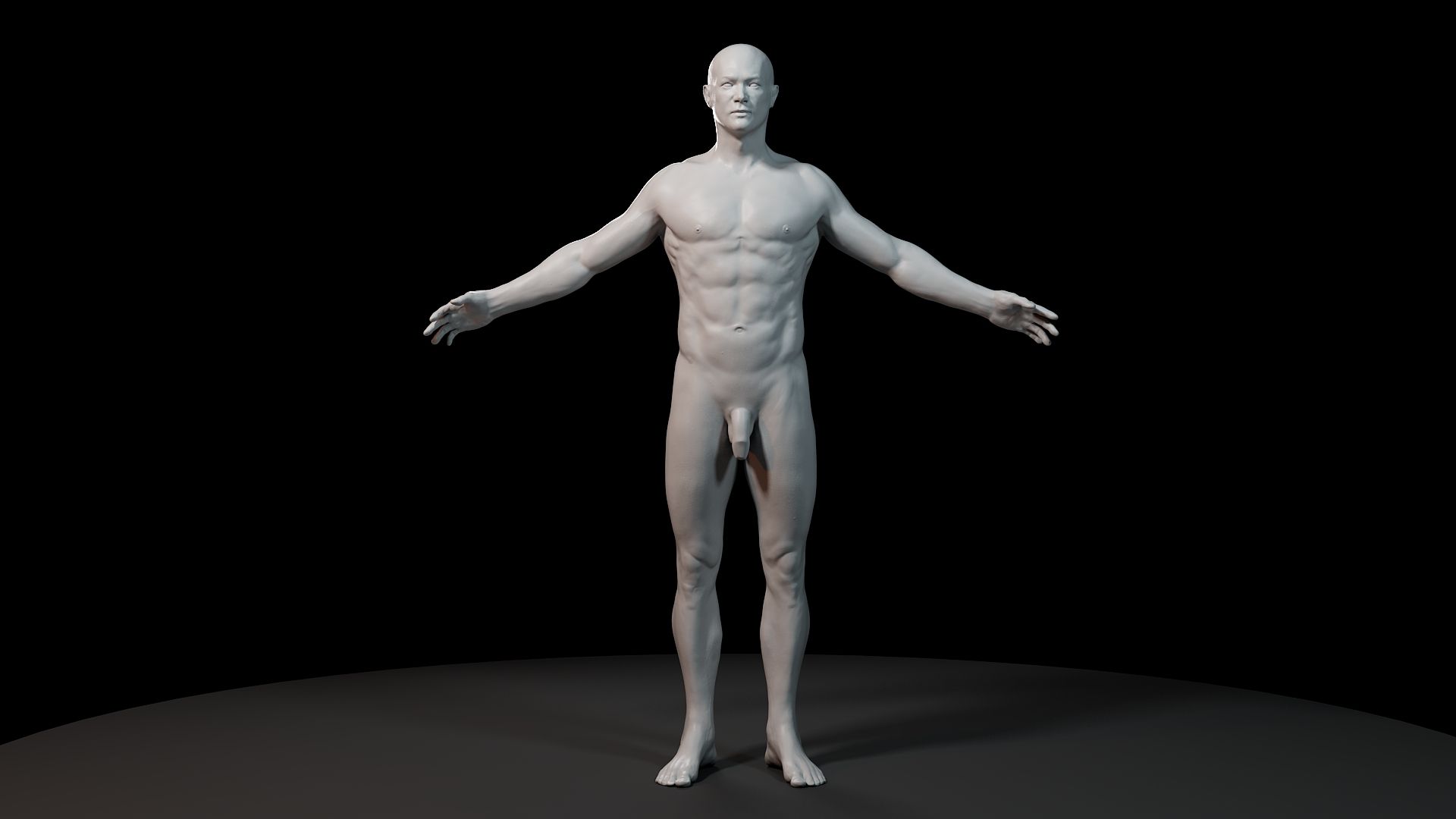 해부 모형 3d model