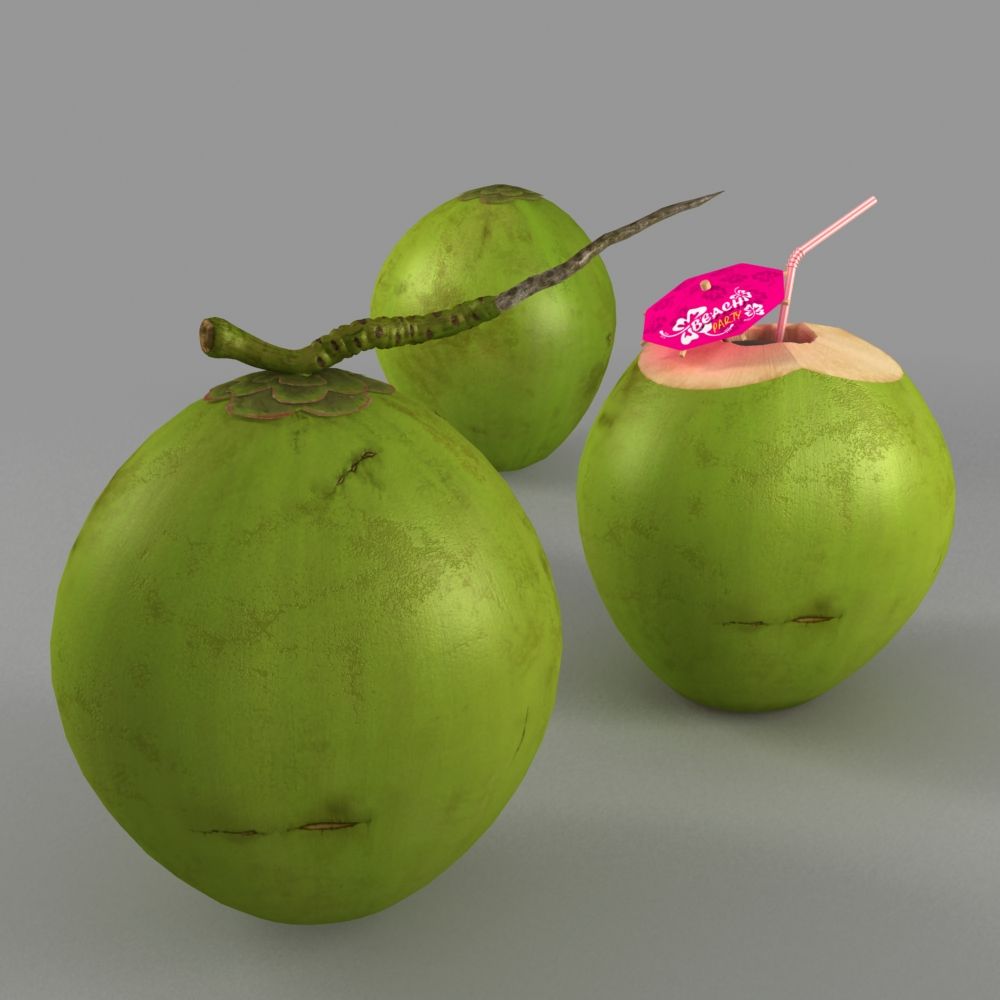 Kokosnuss 3d model